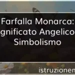 Farfalla Monarca: Significato Angelico e Simbolismo